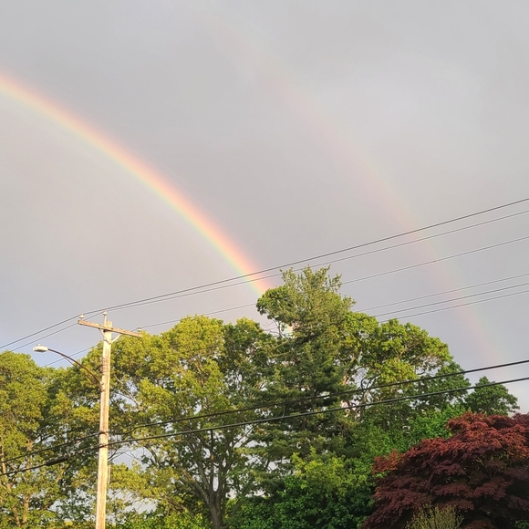 Meet your Posher, Leah - Picture 4 of 7